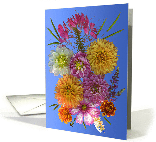 pink fizz card (125266)