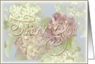 pastel hydrangea-thank you card
