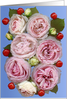 cherry roses