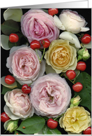 cherry roses (black) card
