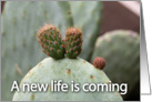 new life coming card