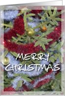 merry christmas card