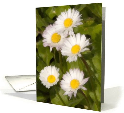 spring time card (396298)