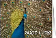 Good luck card