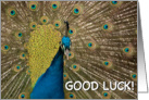 Good luck card