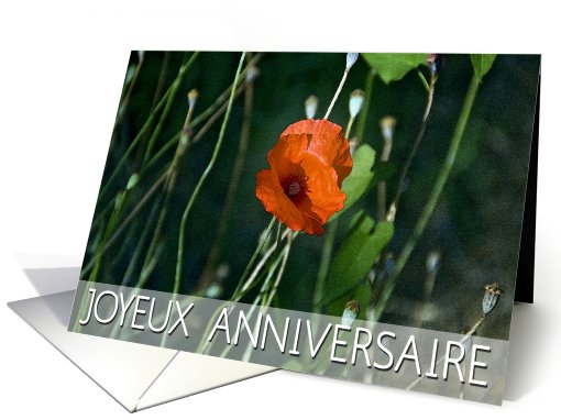 JOYEUX ANNIVERSAIRE card (467632)