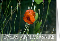 JOYEUX ANNIVERSAIRE card
