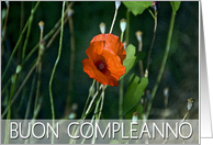 BUON COMPLEANNO card