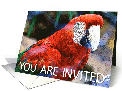 You are invited card (475282)