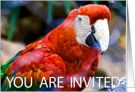 You are invited card