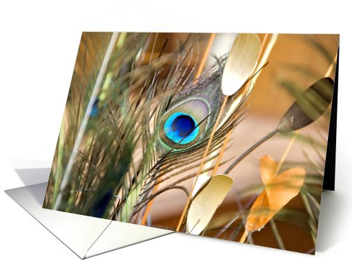 peacock card (502911)