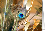 peacock card