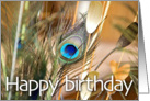 Happy Birthday Peacock Feather card