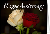 happy anniversary with roses card