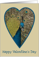 heart peacock card for valentine day card