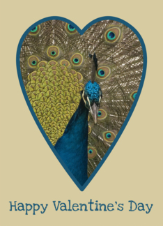heart peacock card...