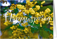 spring card with mimosa card