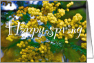 spring card with mimosa card