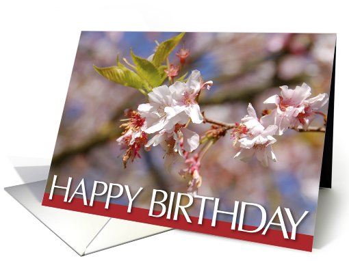 happy birthday card with flowered branch card (602599)