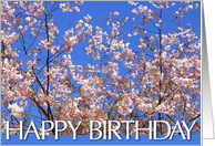 happy birthday card with flowered branch card