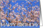 happy birthday card with flowered branch card