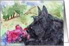 Scottish Terrier and Red Toy Rabbit in a Park card