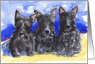 Three Scottish Terriers card