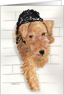 Proud Welsh Terrier card