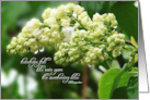 Sympathy White Lilac in Rain Teardrops Poem for Her card