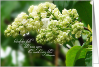 Sympathy White Lilac in Rain Teardrops Poem for Her card
