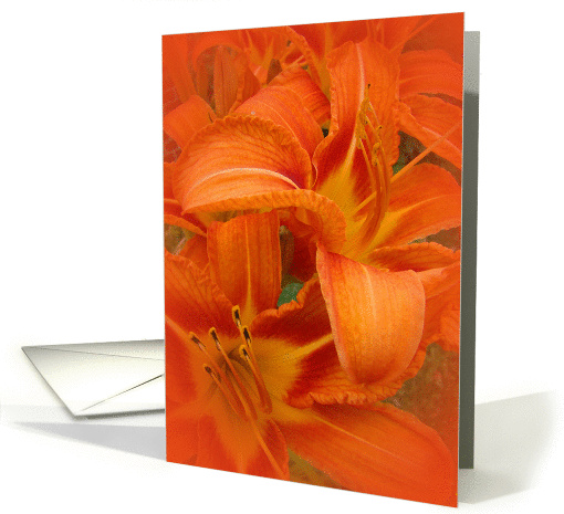 Blank, Tiger Lilies Cluster card (224835)