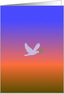 Blank, Note Card,Dove With Olive Branch card