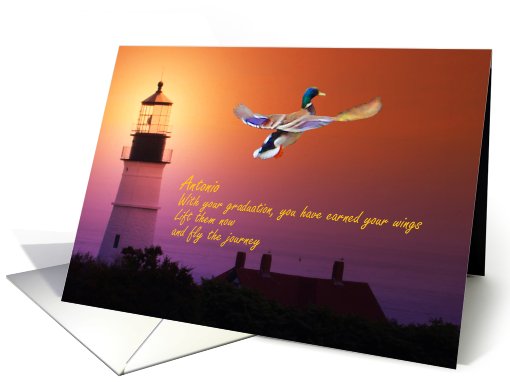 Graduation, Antonio, Mallard Takes Flight by the... (619498)