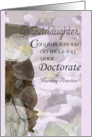 Congratulations, Graduate, Granddaughter, DNP, Little Girl In Grad Cap and Gown card