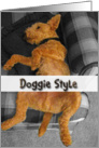 Humor, Doggie Style card