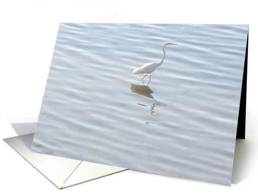 Lone Egret card (290134)