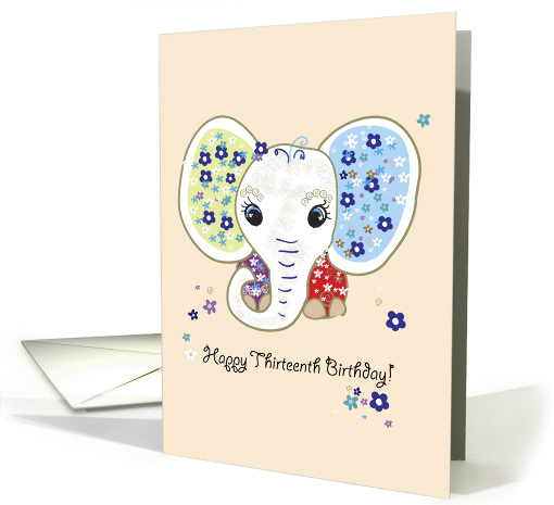 Thirteenth birthday card (157645)