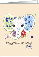 Thirteenth birthday card