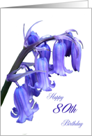 Bluebell 80th...