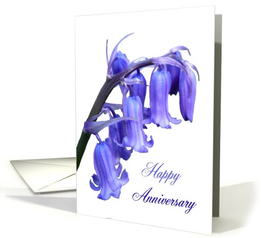 Bluebell Happy anniversary card (425620)