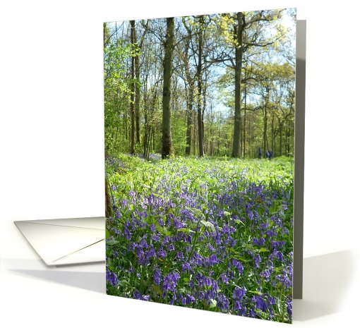 Bluebell wood card (429138)