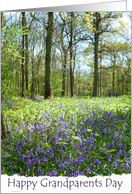 Grandparents Day Bluebell wood card