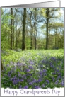 Grandparents Day Bluebell wood card