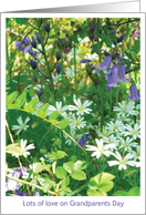 Grandparents day bluebells card