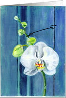 White Orchid card