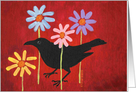 please don’t eat the daisies card