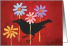 please don’t eat the daisies card