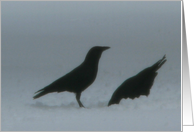 Two Crows ll card