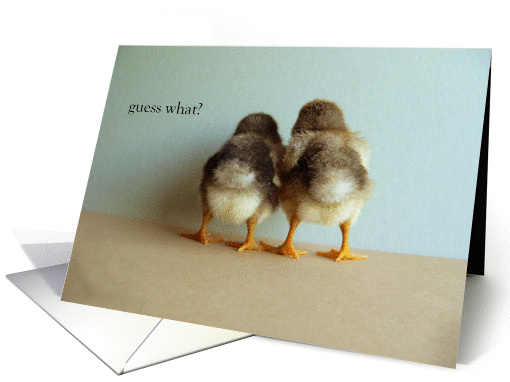 guess what? chicks card (974653)