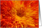 Dahlia - Any Occasion card